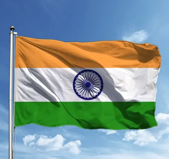 hindistan vizesi